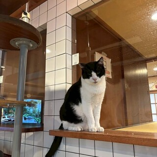 穏やかで人懐っこい虹君♪