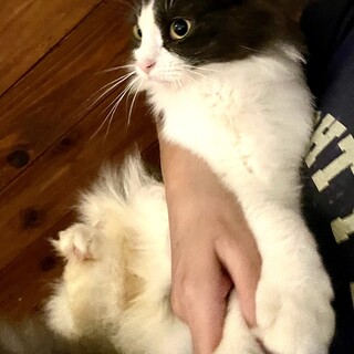 可愛い女の子です????