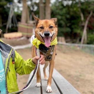 「茶々丸」男の子　　硝子の美少年