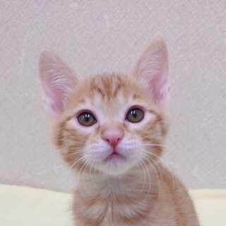 11/24高田馬場★ねりくん★優しいリーダー