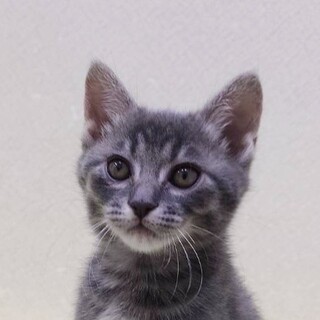 11/24高田馬場★そうくん★中身はスイート