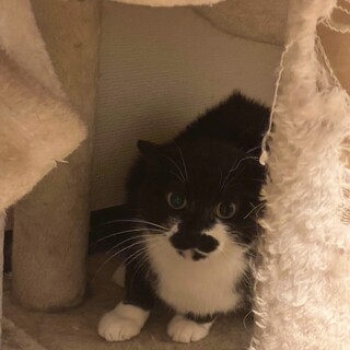 シロクロの女の子︎︎⟡.·