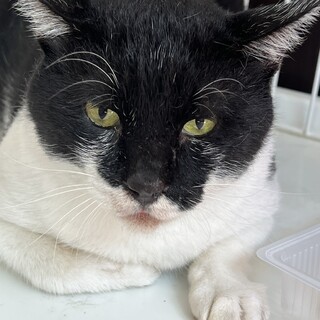 シロクロの男の子⟡.·