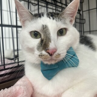 食欲旺盛！ぼんくん　3歳