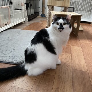 お尻にハート柄❤︎てぃくん　3歳