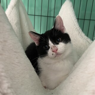 口元のゴマがキュート❤︎ちぃくん　3ヶ月