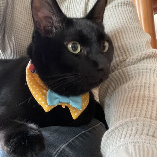 ビッグボーイ♡ダリオ