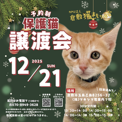 保護猫譲渡会（予約制）