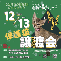 保護猫譲渡会（予約不要）