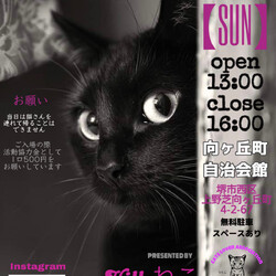 保護猫のふれあい会