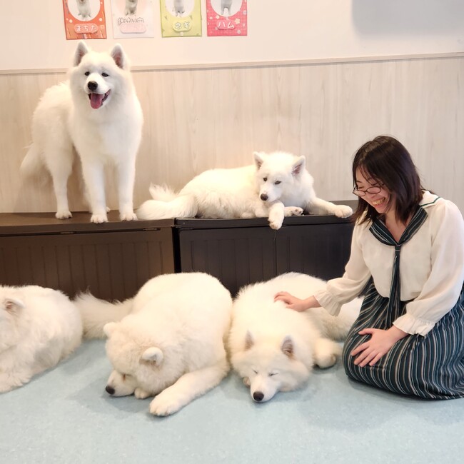 朝城のカバー写真