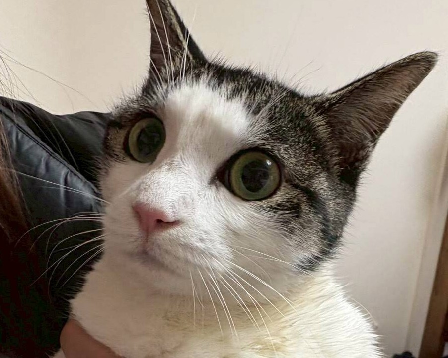 大人しい女の子すーちゃん サムネイル2