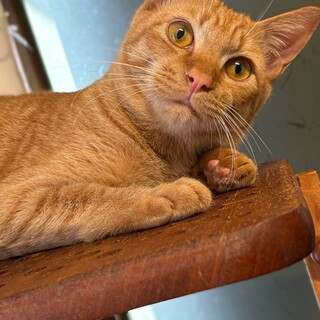 元気で甘えん坊な陽