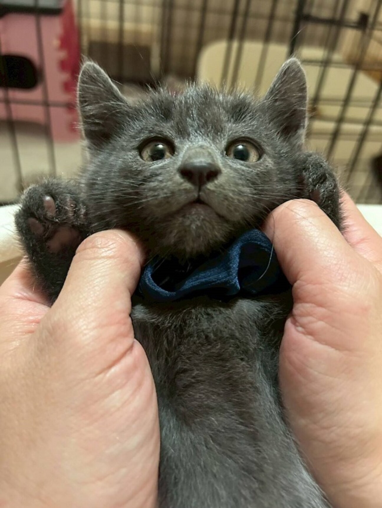 グレーな男の子　あんず サムネイル1