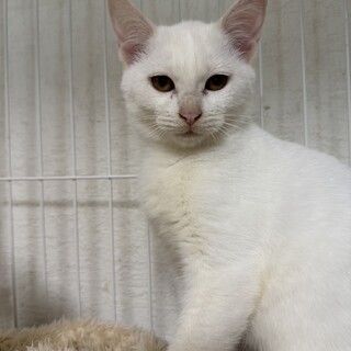 慣れていてリターンできません。家族にしてください