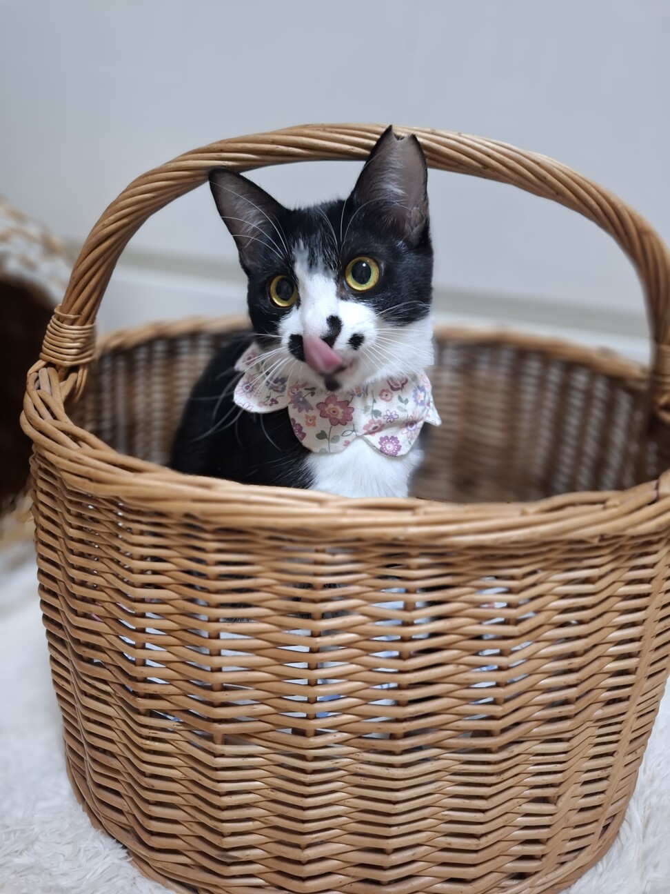 人慣ればっちり抱っこOK♡まりんちゃん8か月 サムネイル3