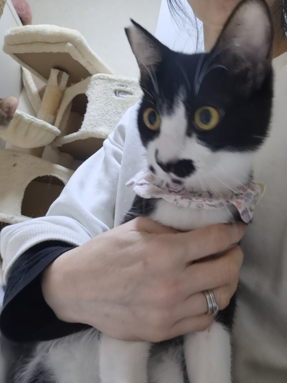 人慣ればっちり抱っこOK♡まりんちゃん8か月 サムネイル6