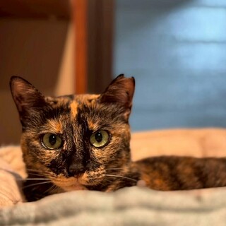 怖がりですが、一緒に遊んでくれるサランちゃん♡