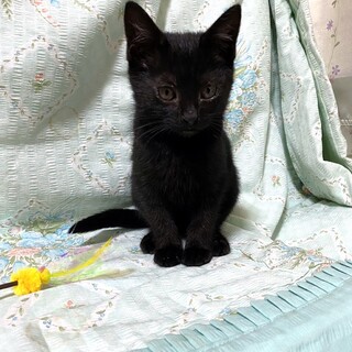 11/23幕張ෆ⃛甘えっ子ですෆ⃛るなちゃん