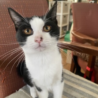 11/22幕張ෆ⃛人懐っこいですෆ⃛ラブちゃん