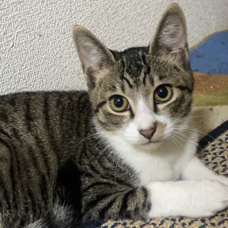 12/6稲毛海岸ෆ⃛人懐っこいですෆ⃛ココくん