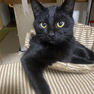 ෆ⃛優しい性格ですෆ⃛ピコちゃん