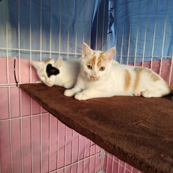 ええー！！！！