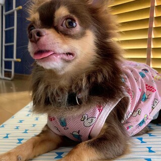 甘え上手な【レンくん】