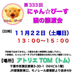 譲渡会 にゃん☆ぴーす猫の譲渡会【都賀･アトリエTOM】