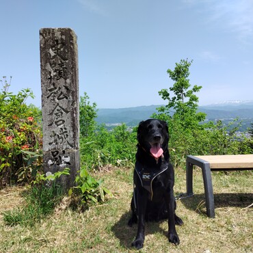 こんな感じで登ります