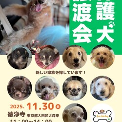 forわんDog譲渡会at徳浄寺