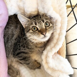 【12/27東銀座】アンヨちゃん★５ヵ月♪