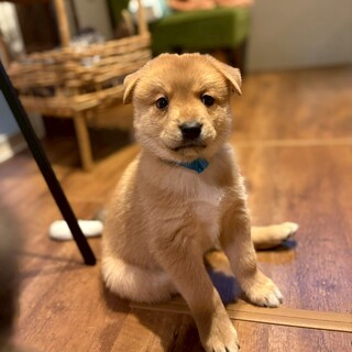 元気いっぱい！【ムンクくん】