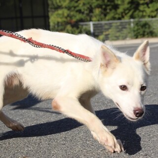 ずっとの家族募集中♡【一生（かずき）】くん