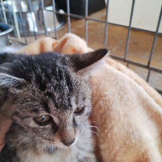 みどり・活発で良く遊びます