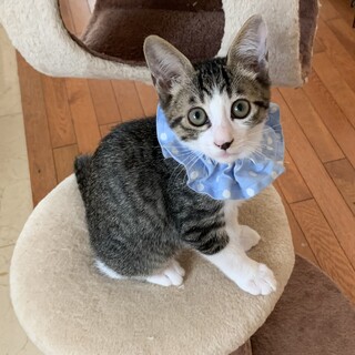 お膝大好き♡かまってくんの可愛い男の子