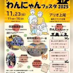 わんにゃんフェスタ2025inなごの家保護猫譲渡会