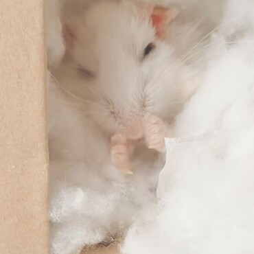 ウィンクをくれる殿下