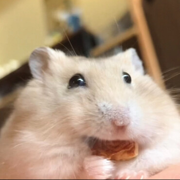 アーモンド咥えた坊その④