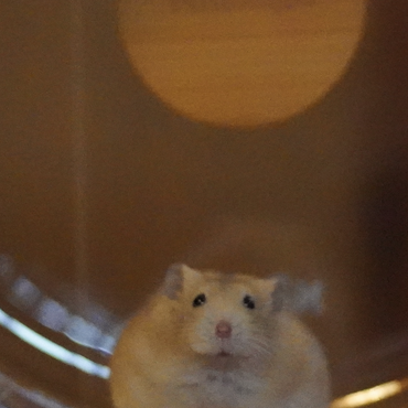 ベストショットその②