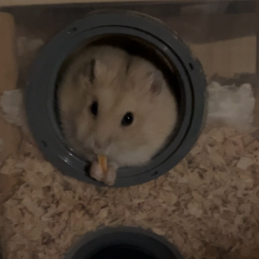 外につながる穴から食べる坊