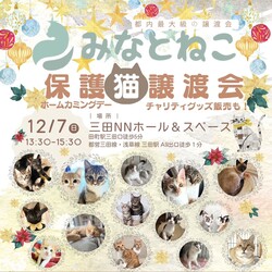 みなとねこ保護猫譲渡会＠三田NNホール＆スペース