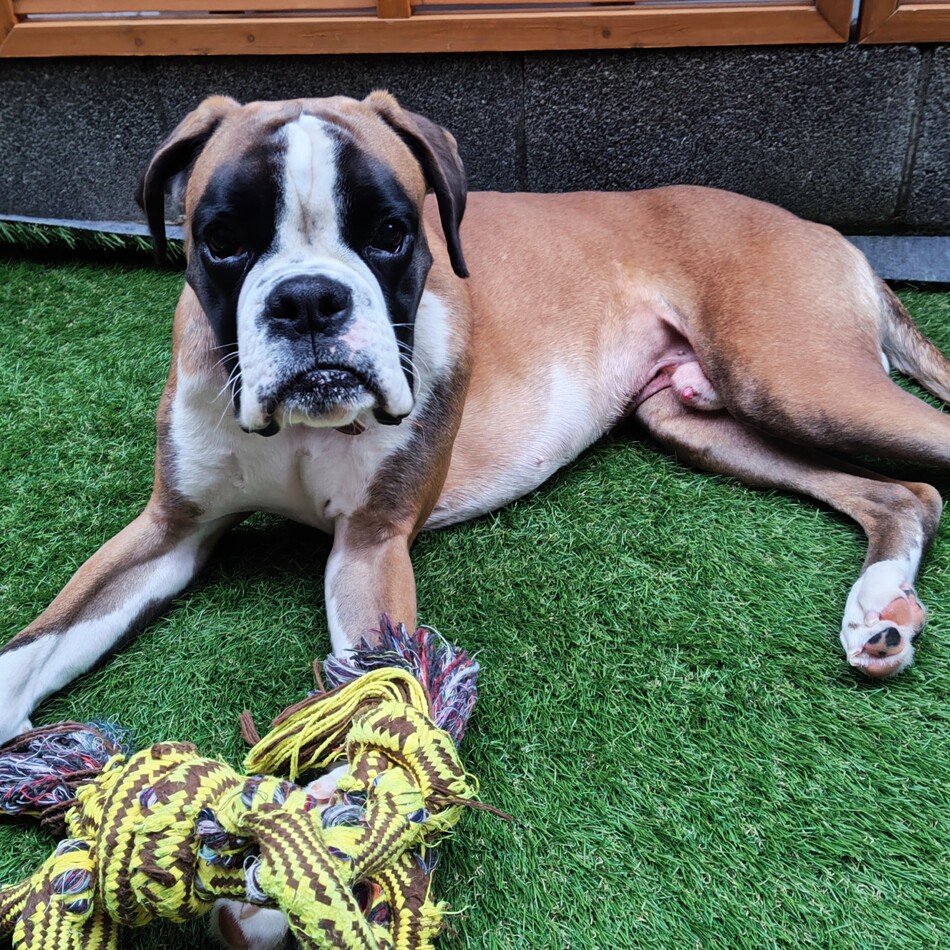 レイのカバー写真