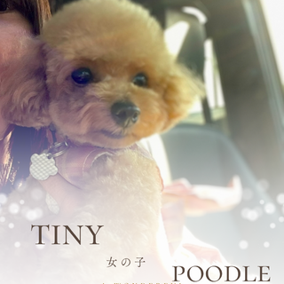 一時中止！トライアル中