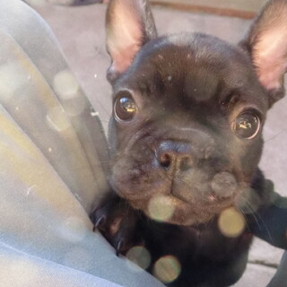 先天性心疾患あります