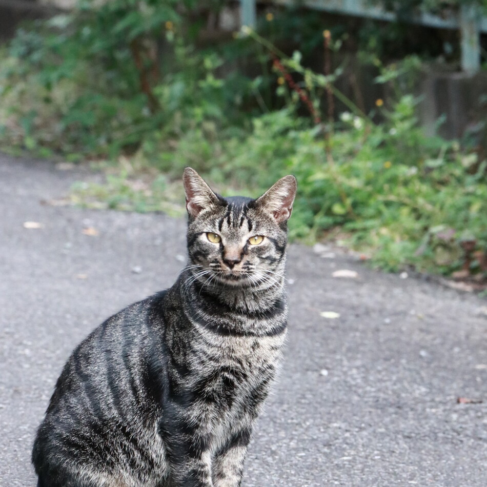 そらのカバー写真