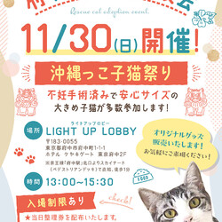 11/30(日)府中猫の会譲渡会