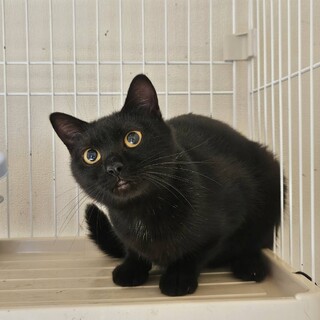 緊急！今日（24日）寒い外へリリースする女の子