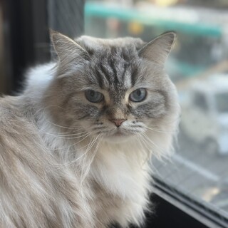 里親様決定しました！