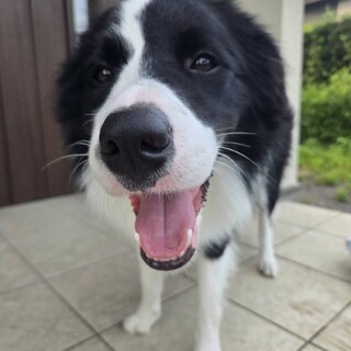 1歳半の元気な男の子